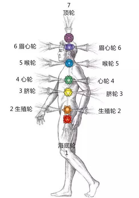 与源头与大地沟通轻松9脉轮开启与净化