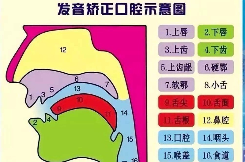 主講人: 初陽 中國中華誦讀聯合會會員,陝西省朗誦協會會員,陝西省