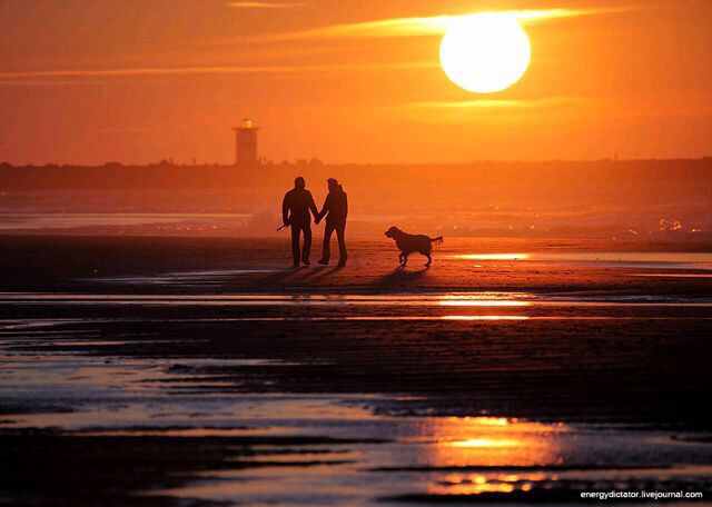 确实,在只看到照片中的剪影时,你的想象力会在构图中其他看不见