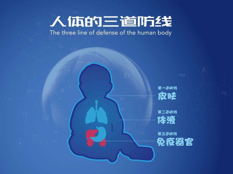 纳兰朵"免疫3 1"与人体三道免疫防线有何关系?