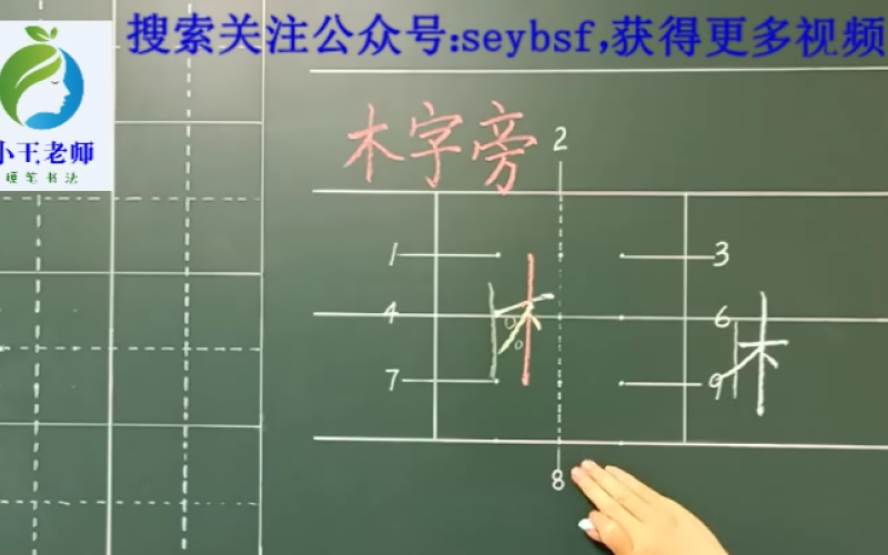 第十五课偏旁部首 木字旁 王氏少儿硬笔书法 千聊