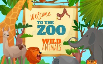 英语单词 动物园词汇 美国幼儿课程 灯塔国kidsclass 千聊