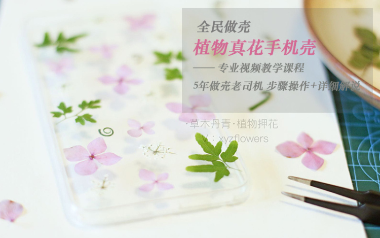 全民做壳 草木丹青带你全方位揭秘押花手机壳 花店花艺课堂 千聊 全民做壳 草木丹青带你全方位揭秘押花手机壳 花店花艺课堂 千聊