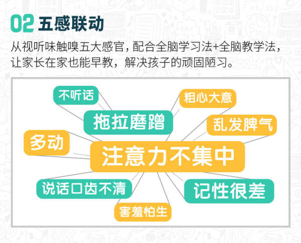 大J小D亲授:0-6岁全脑潜能开发,养成高情商高智商宝宝