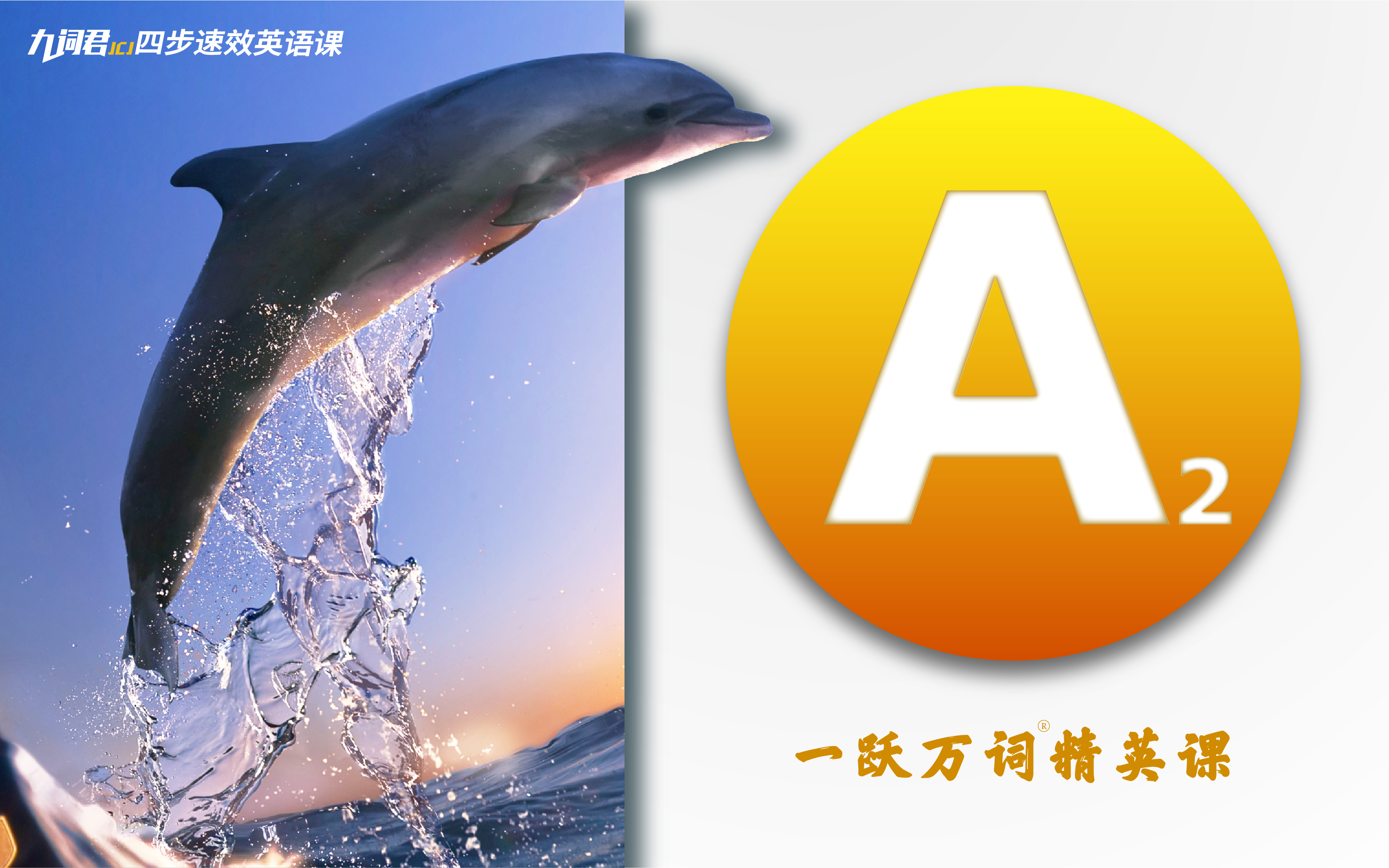 九词君四步速效英语课 千聊