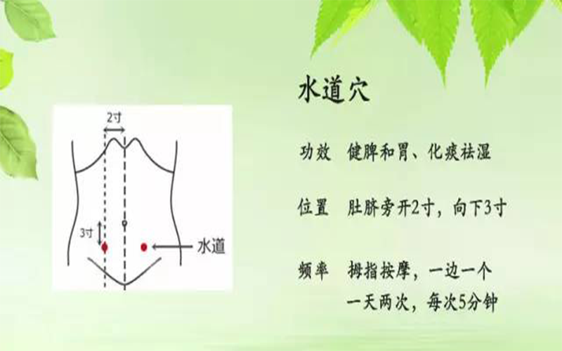 第42节课 水道穴·把痛经问题痛快解决掉