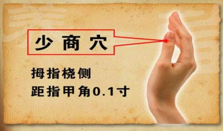 《经络养生》007人体肺经专科医院(02)少商放血,润喉清咽