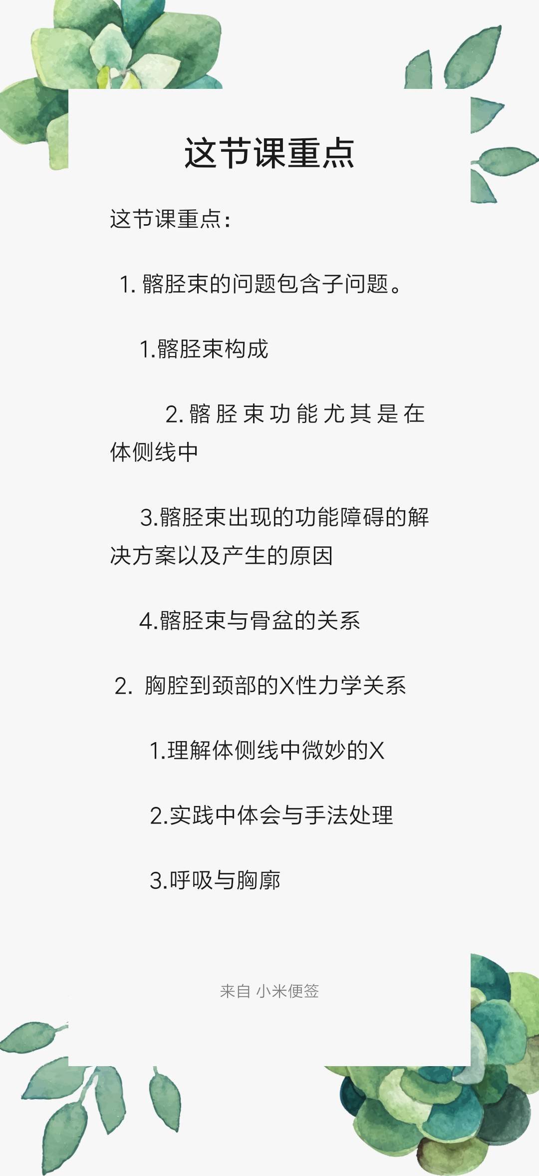 体侧线—下(髂胫束与胸腔)