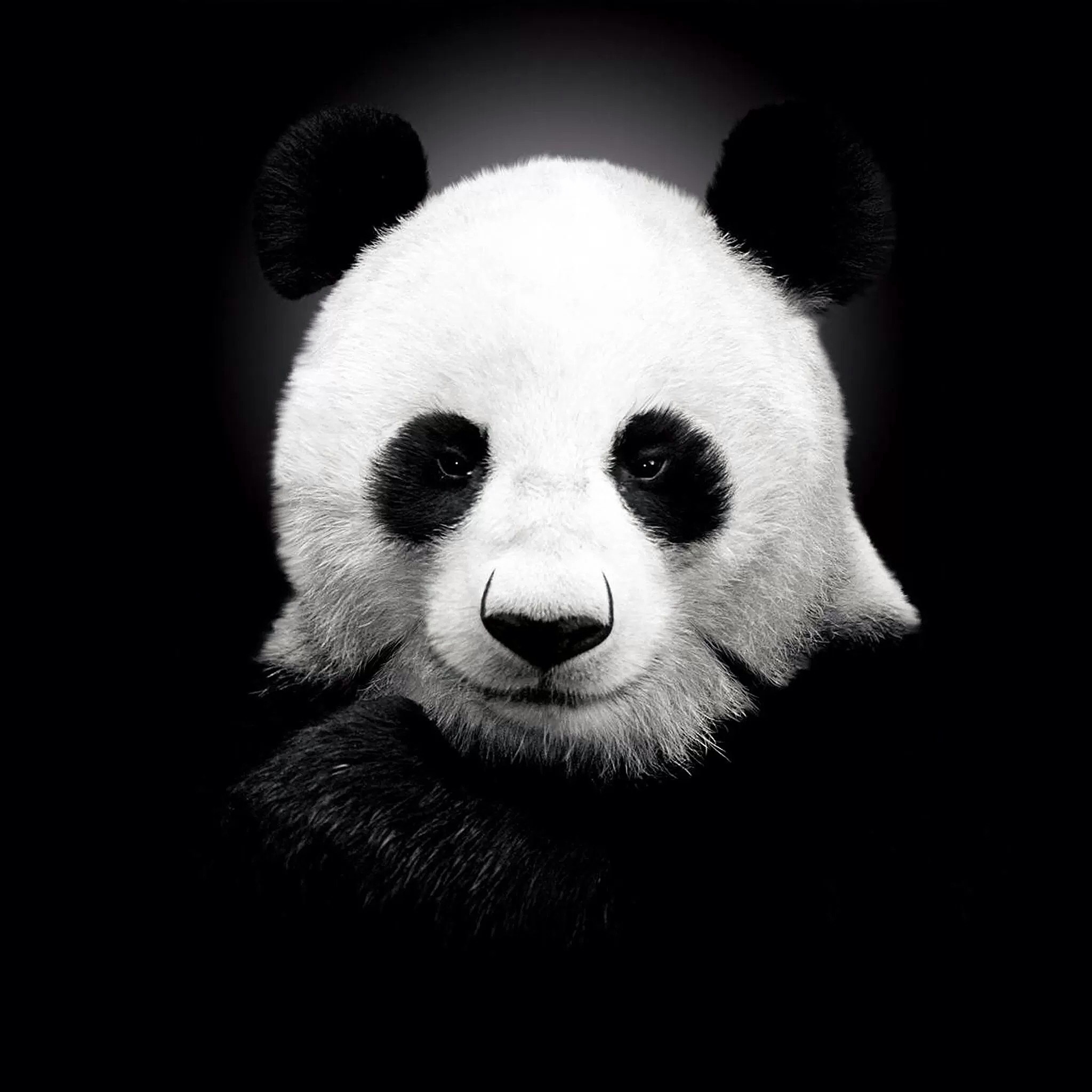 【千帆商学院】淘宝高级运营vip实操班