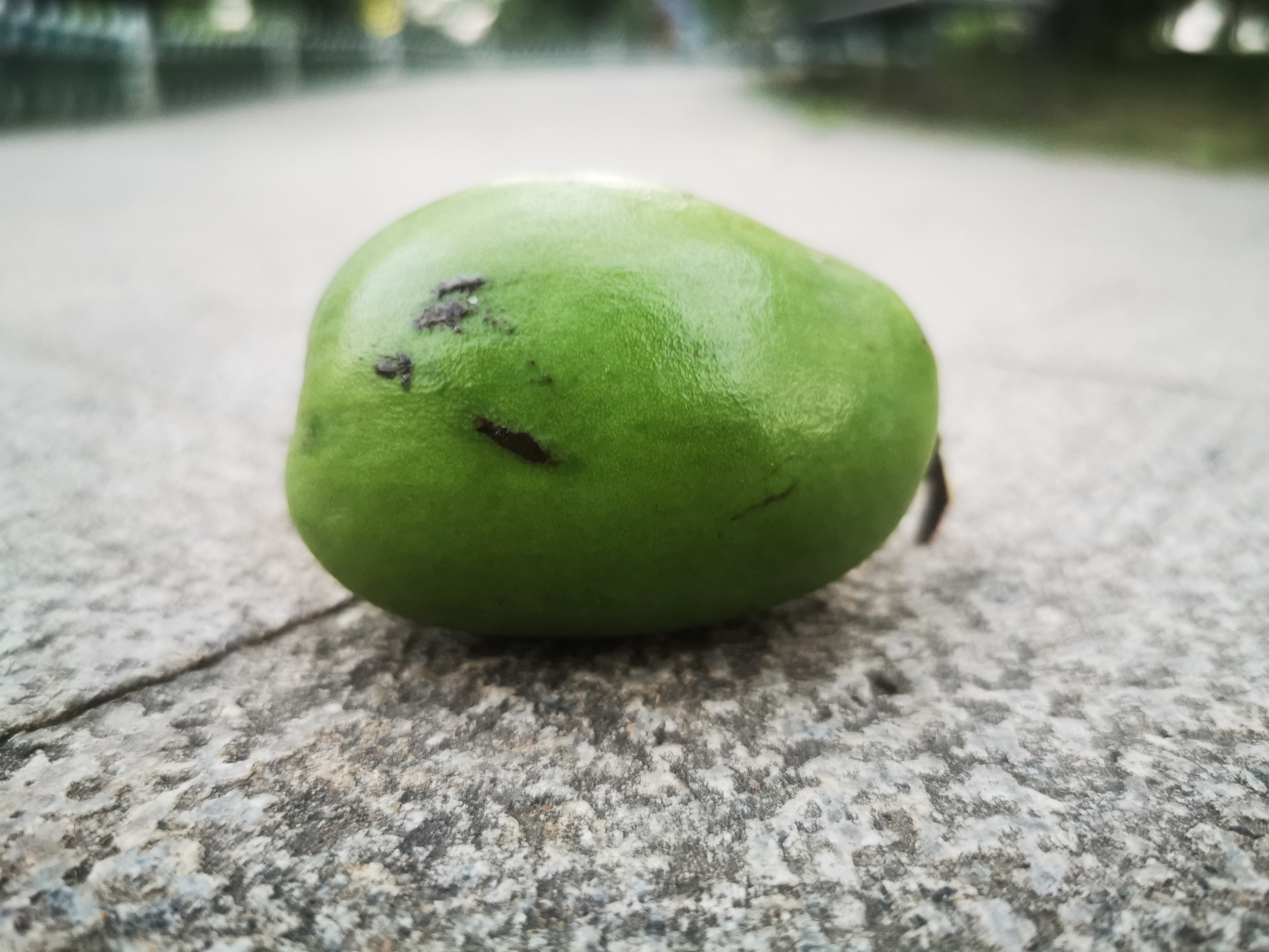 最新部编教材一年级上(旮旯老师的语文思维课)讲义 音频