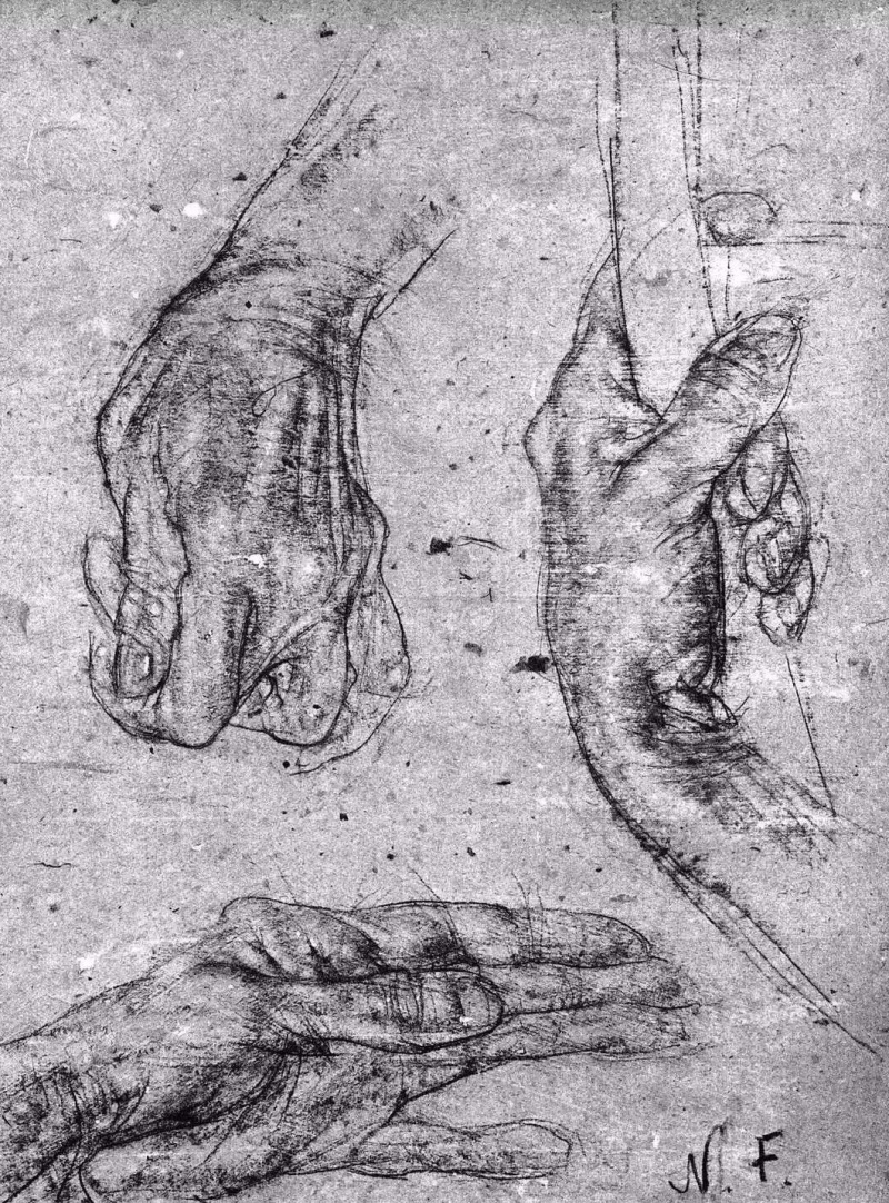 《手的素描》费欣