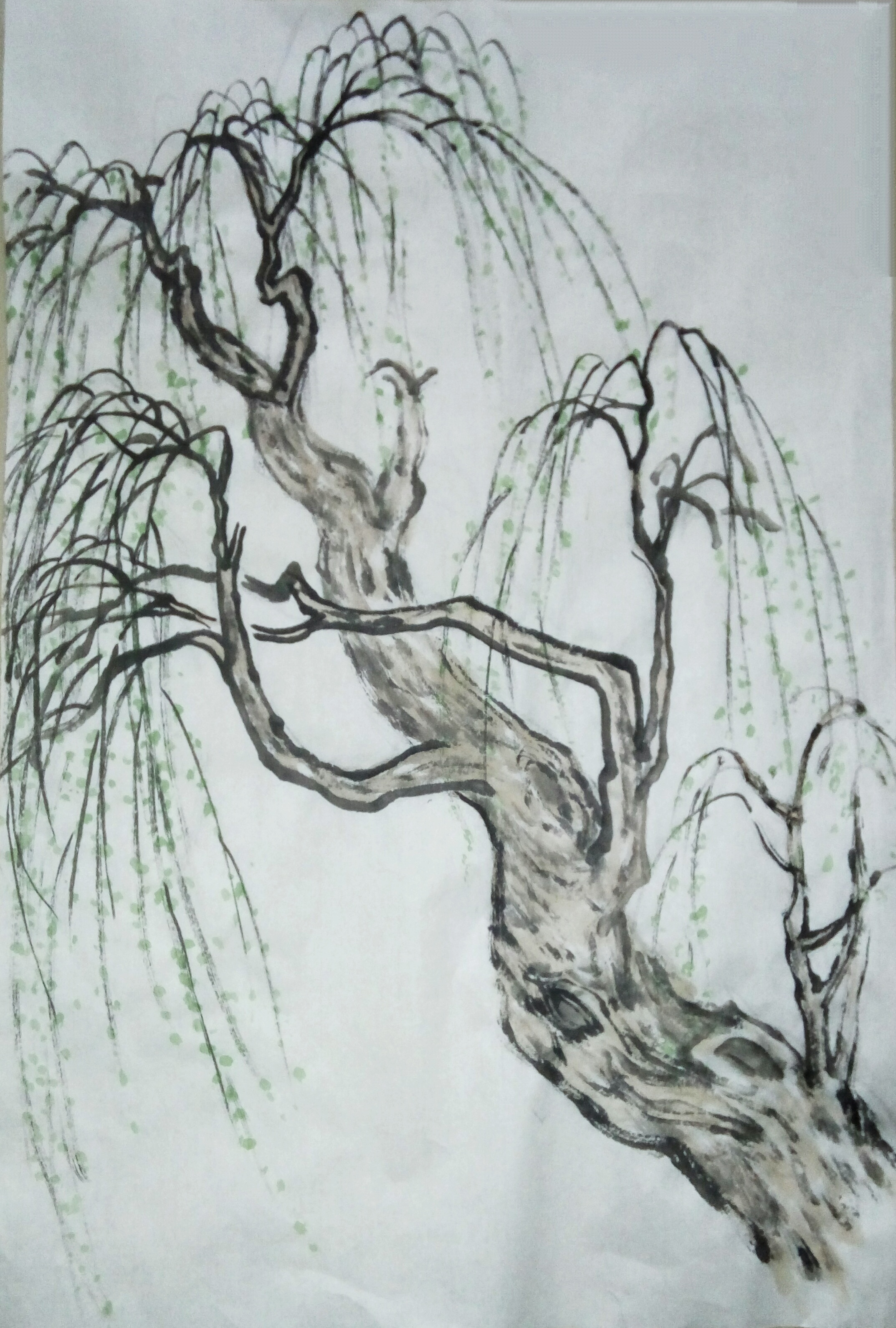 素描柳树怎么画图片