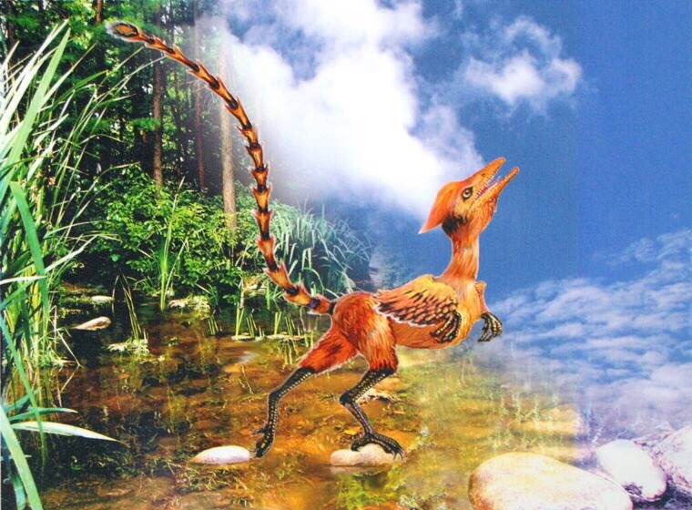 长着毒牙的未必是蛇,也有可能是龙