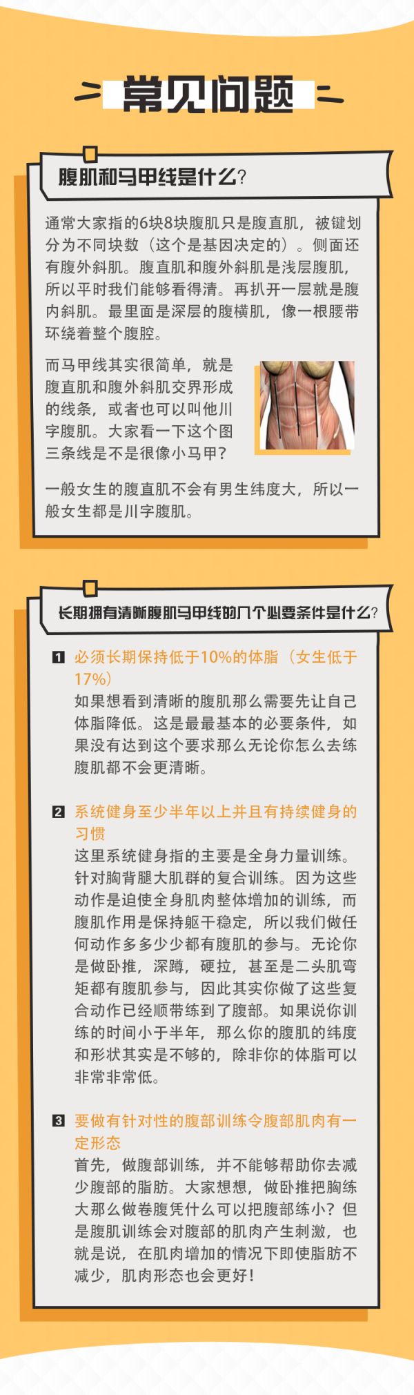 每天4分钟,12天练出腹肌马甲线!
