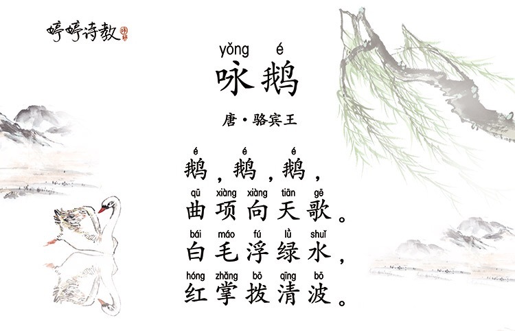 婷婷诗教第5堂:《咏鹅》一首诗让你收获优雅的力量