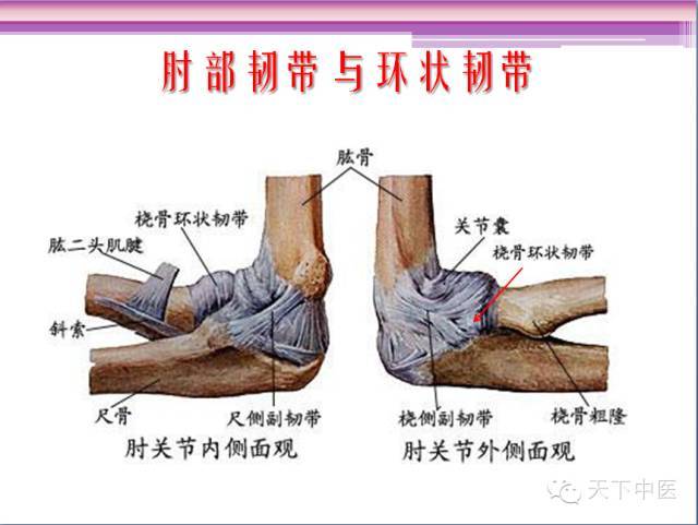 16 中医微创——肱骨外上髁伸肌总腱松解——李晔医生