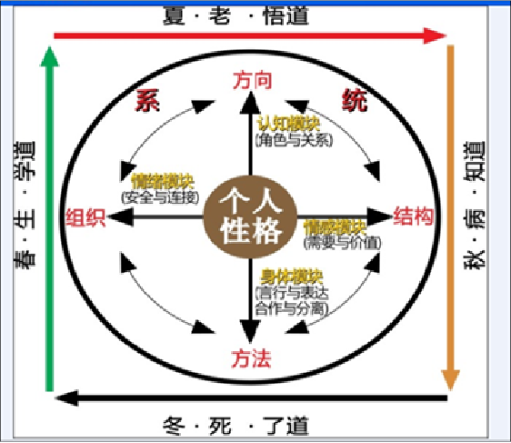 以视频/音频形式呈现