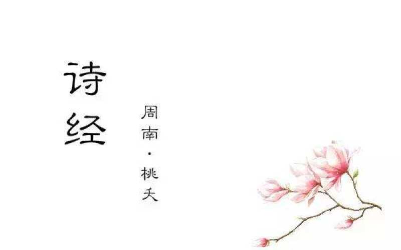 1 桃之夭夭 灼灼其华 国风 周南 桃夭 天使在线幸福家庭 千聊