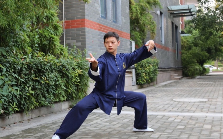 陈氏太极拳缠丝功进阶与发力课程（第二期）