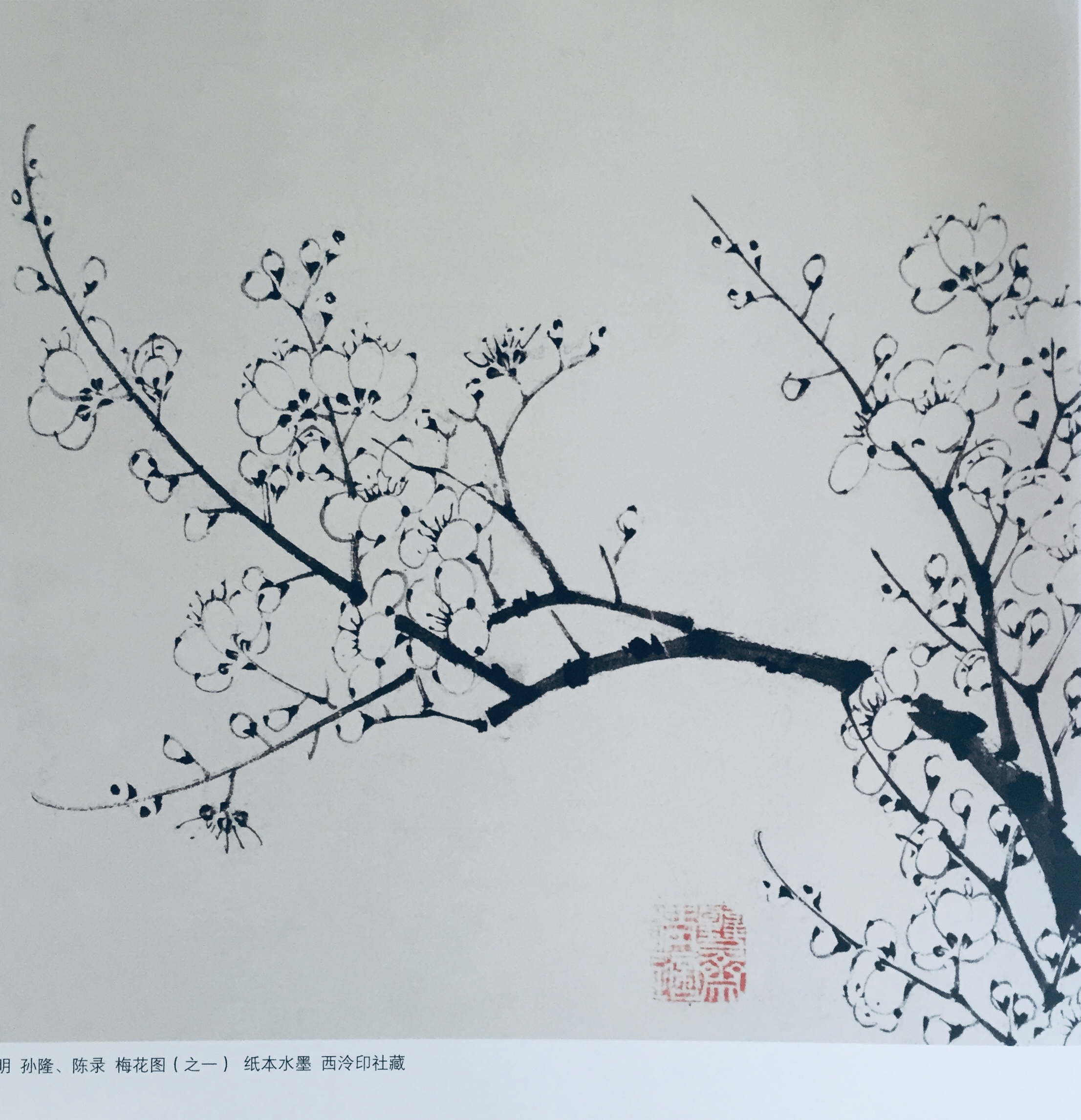 岁以上儿童和零基础成年人,建议先学书法 第一步 中国传统花鸟画欣赏