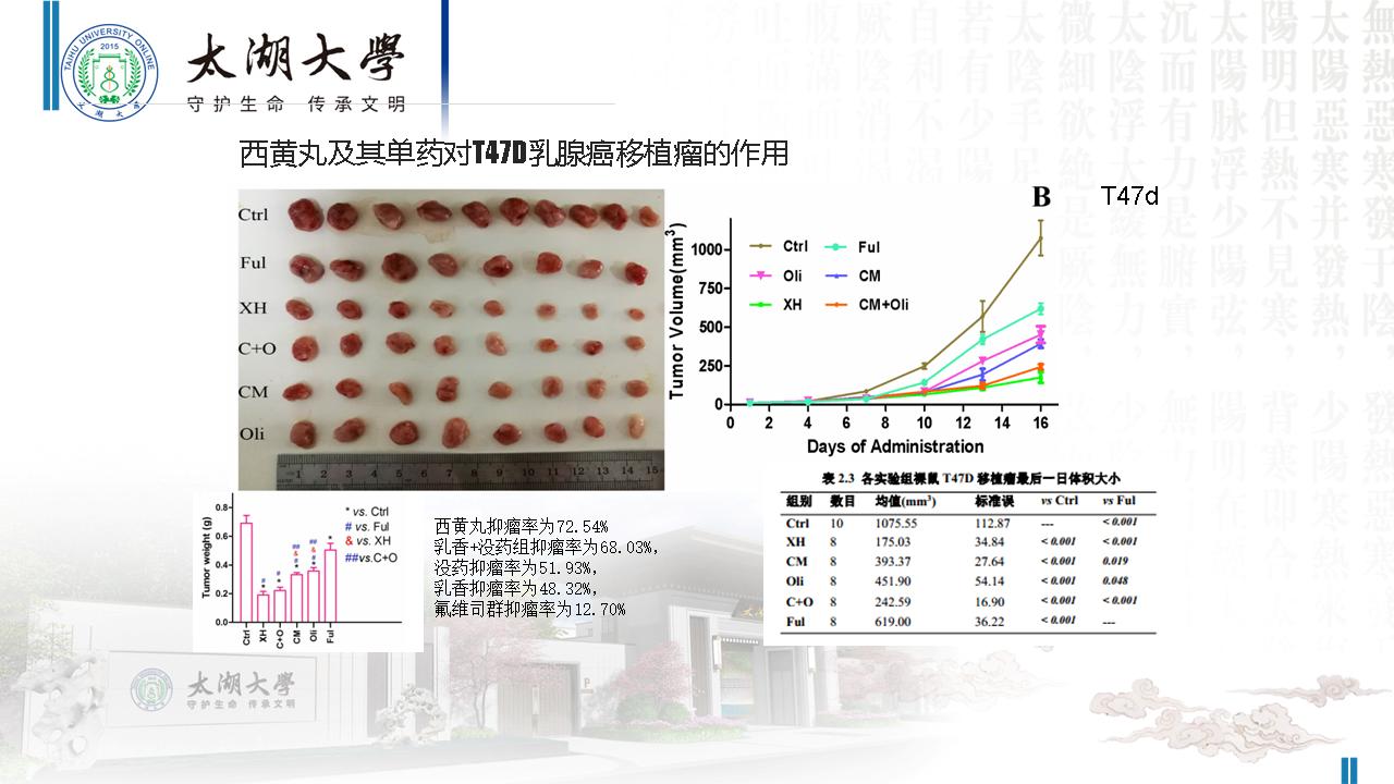 幻灯片94.JPG