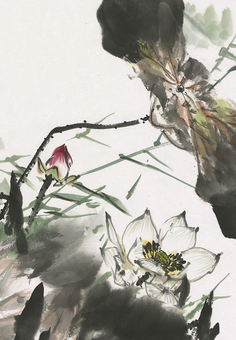 陈葆棣花鸟画《莲塘戏鸭》上——基本技法