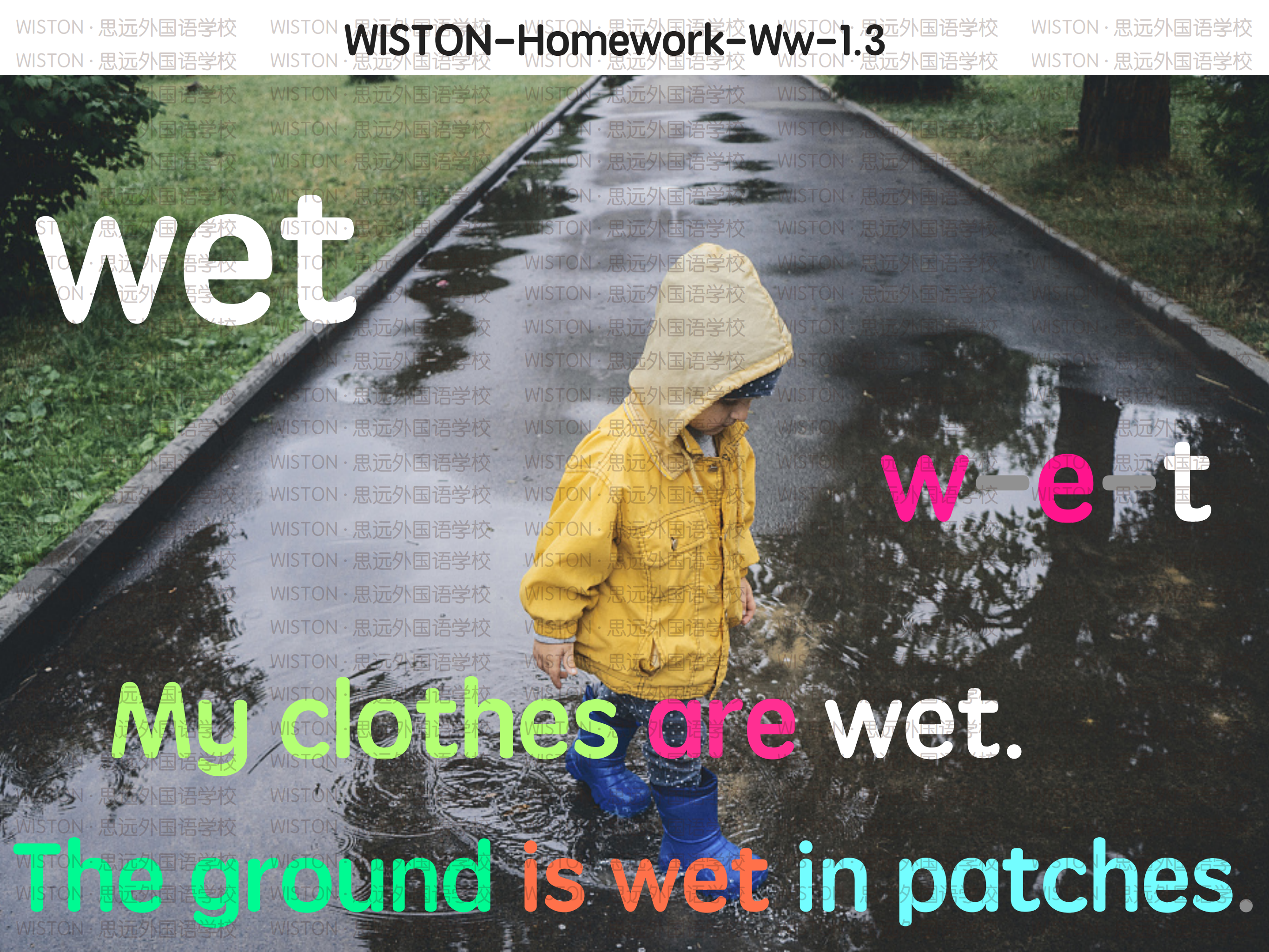 WISTON-HW-Ww-1.3_02.png