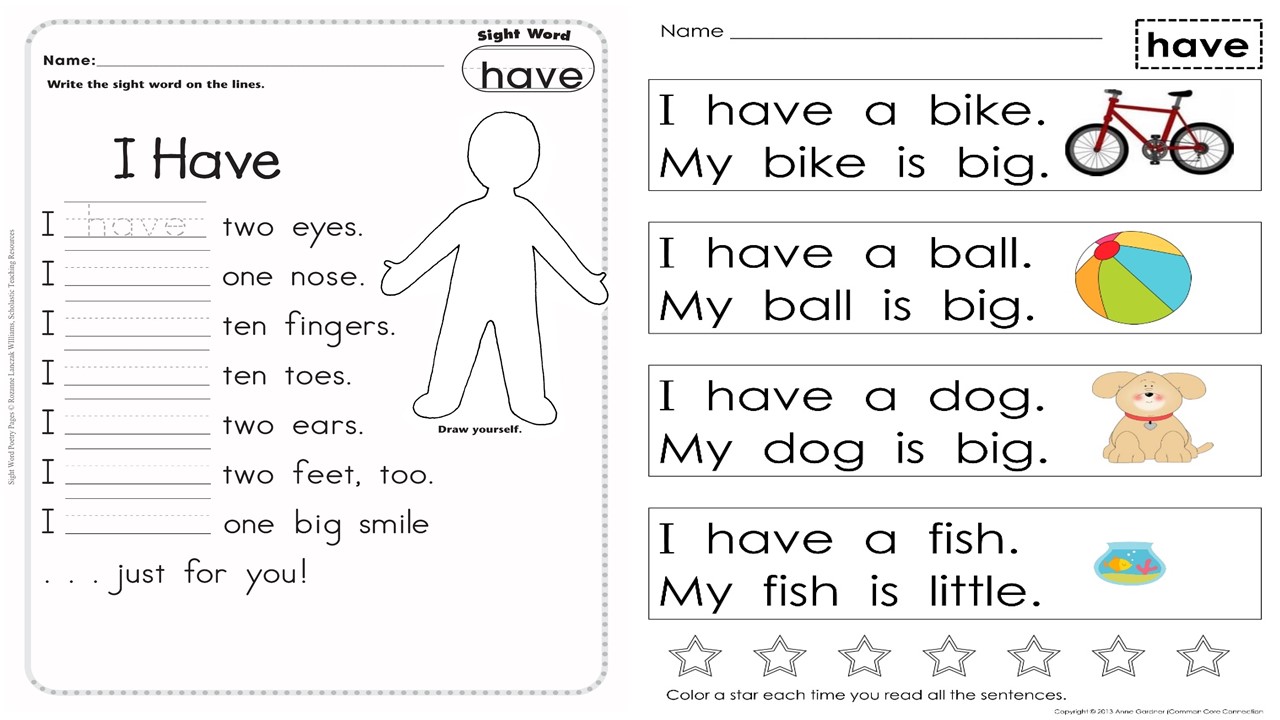 高频词汇have has