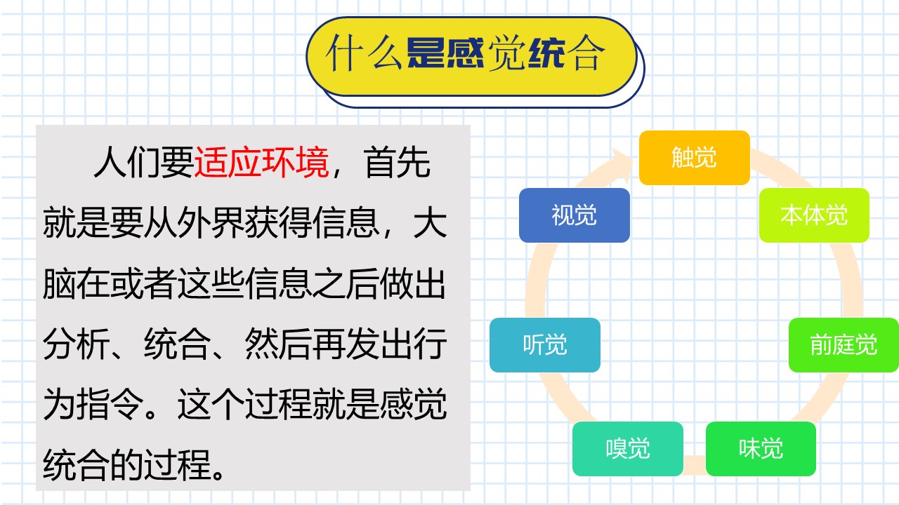 感觉统合前庭觉家庭游戏