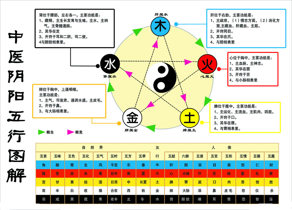 中医入门2-4:五行的基本概念