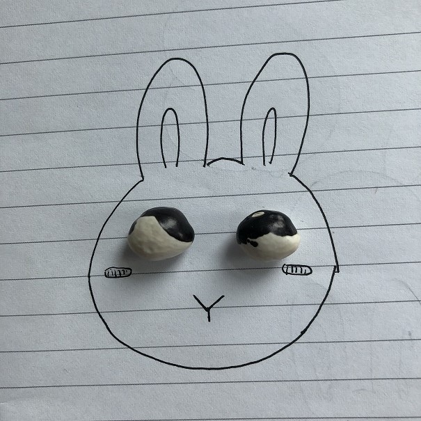 6 主题花草 | "兔子翻白眼"是种什么植物?