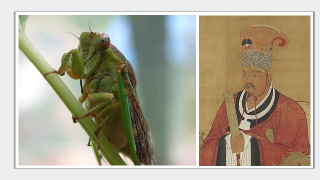 幻灯片8.JPG