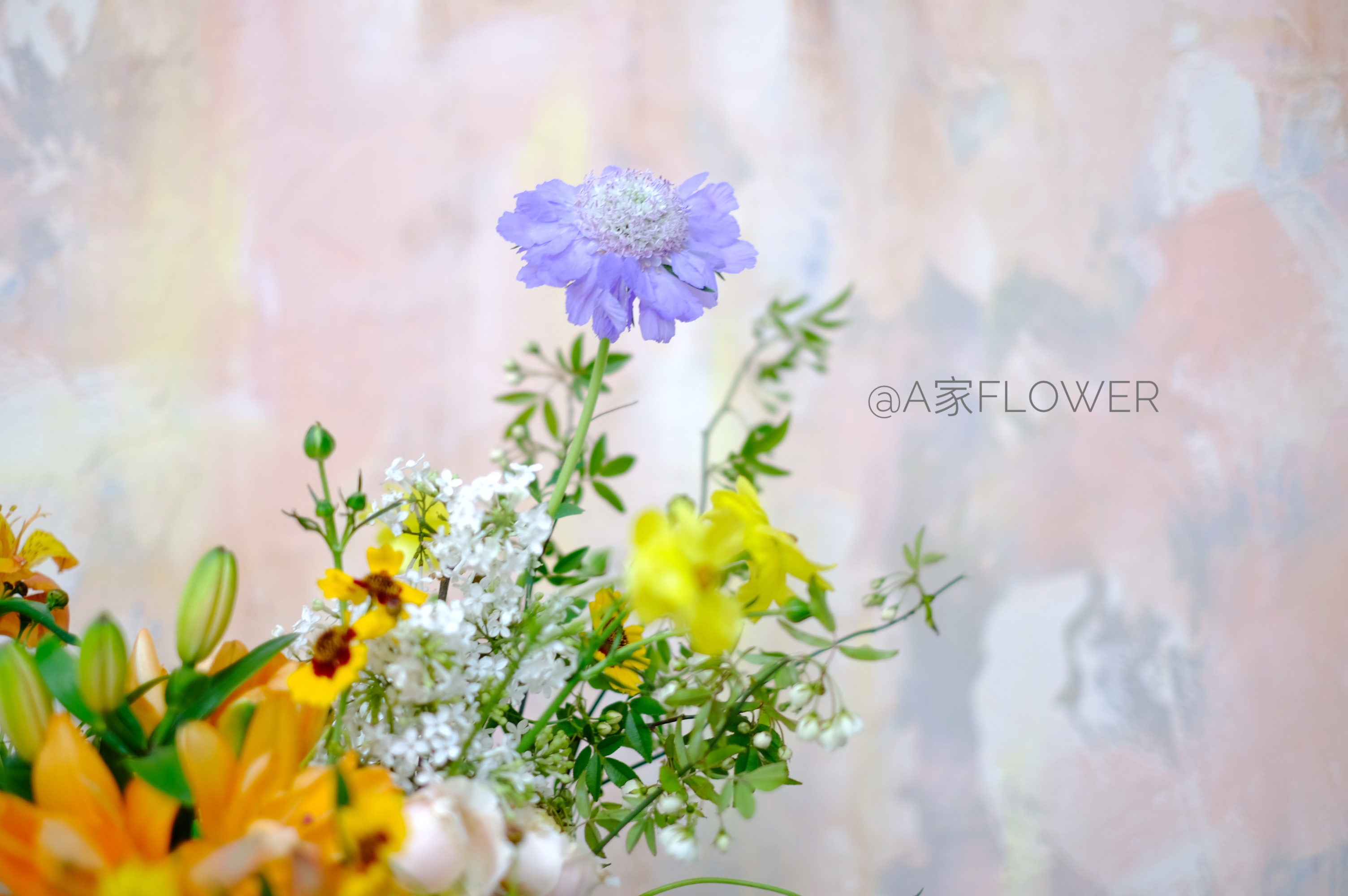 2020火遍花艺圈的ins复古风背景墙制作