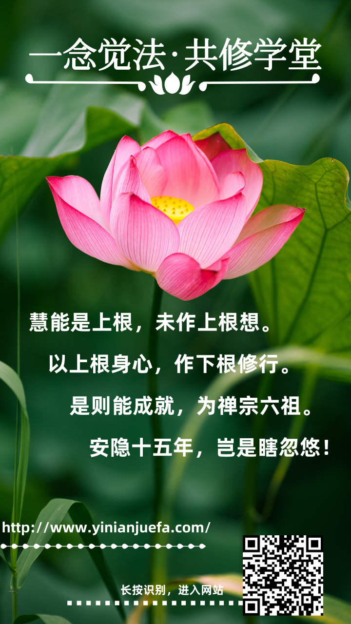 从心上升起的回答——生活篇(4)_一念觉法共修学堂_千聊