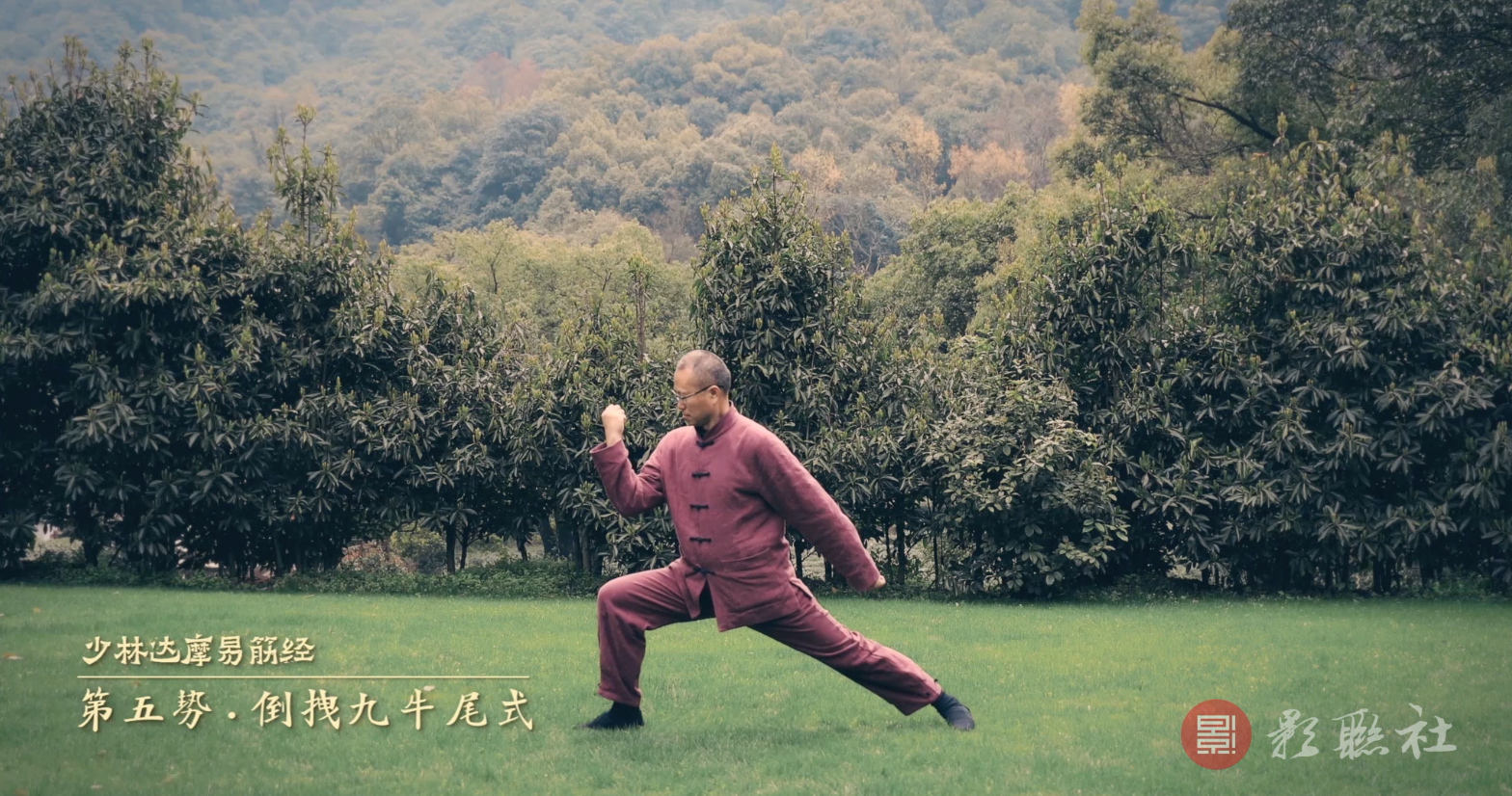 少林达摩易筋经第五势:倒拽九牛尾