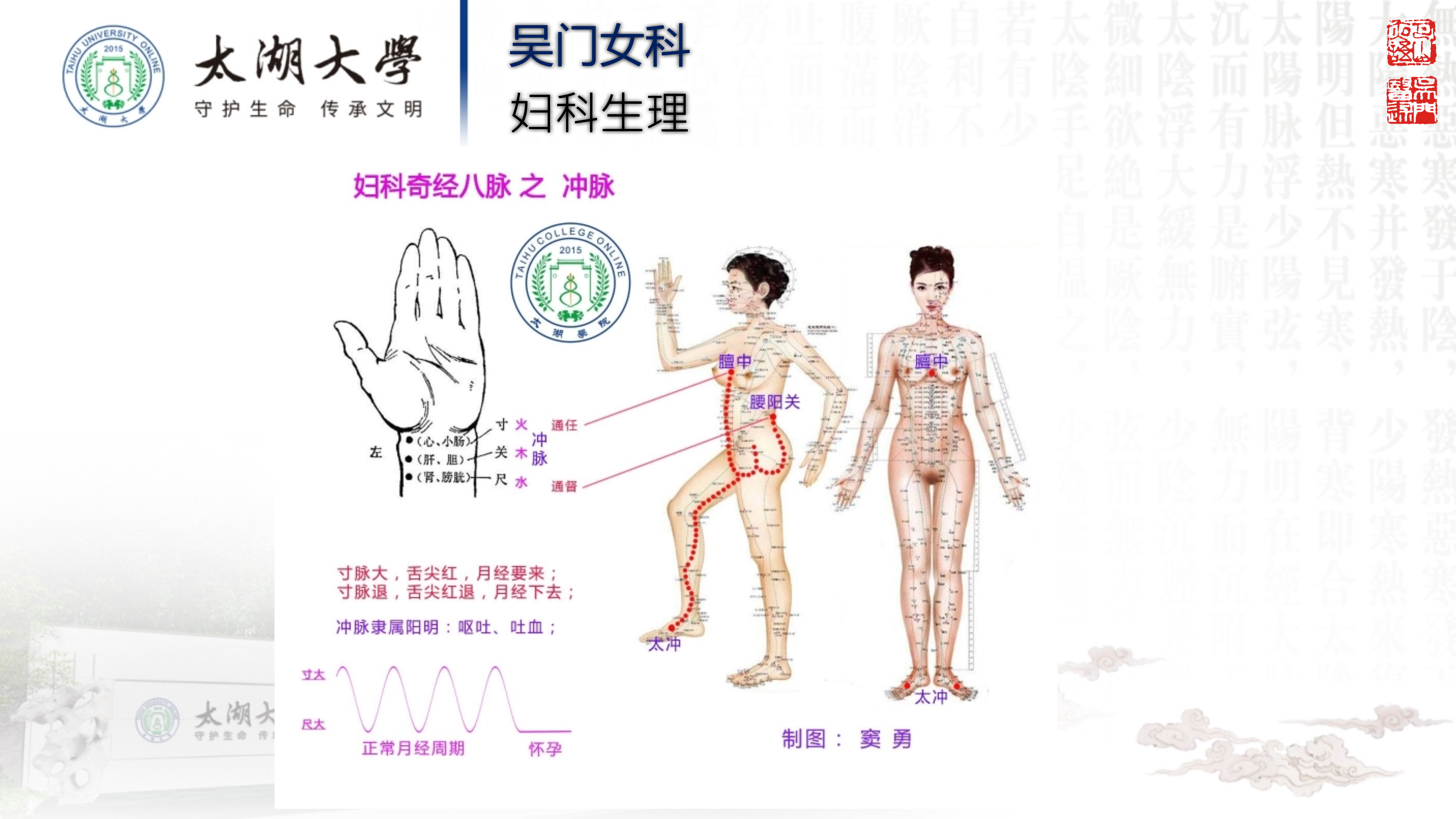 孙迎春讲座_17.jpg