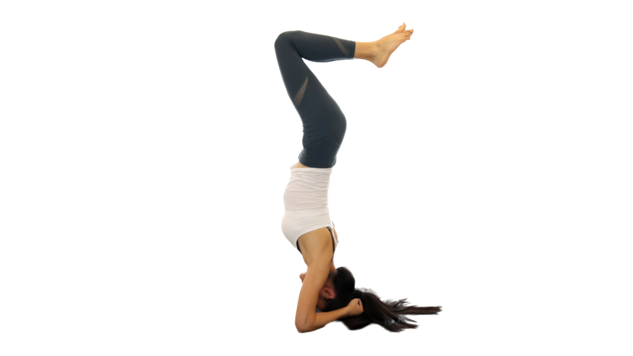 流瑜伽手肘头倒立安全高效练习