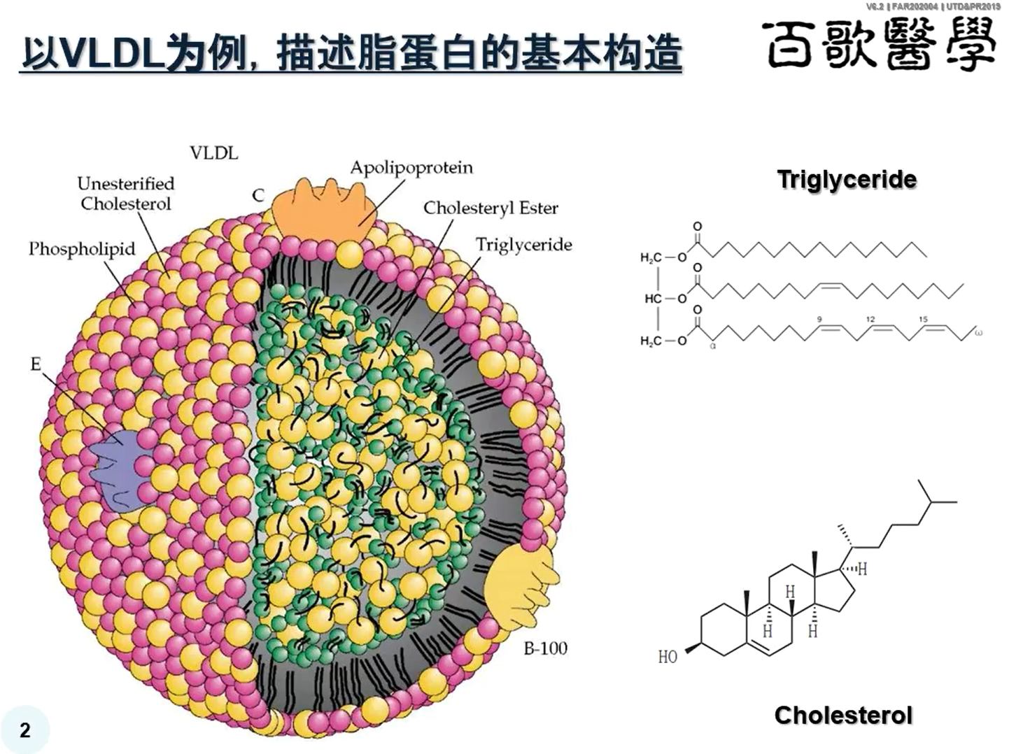 脂蛋白转运和相关疾病