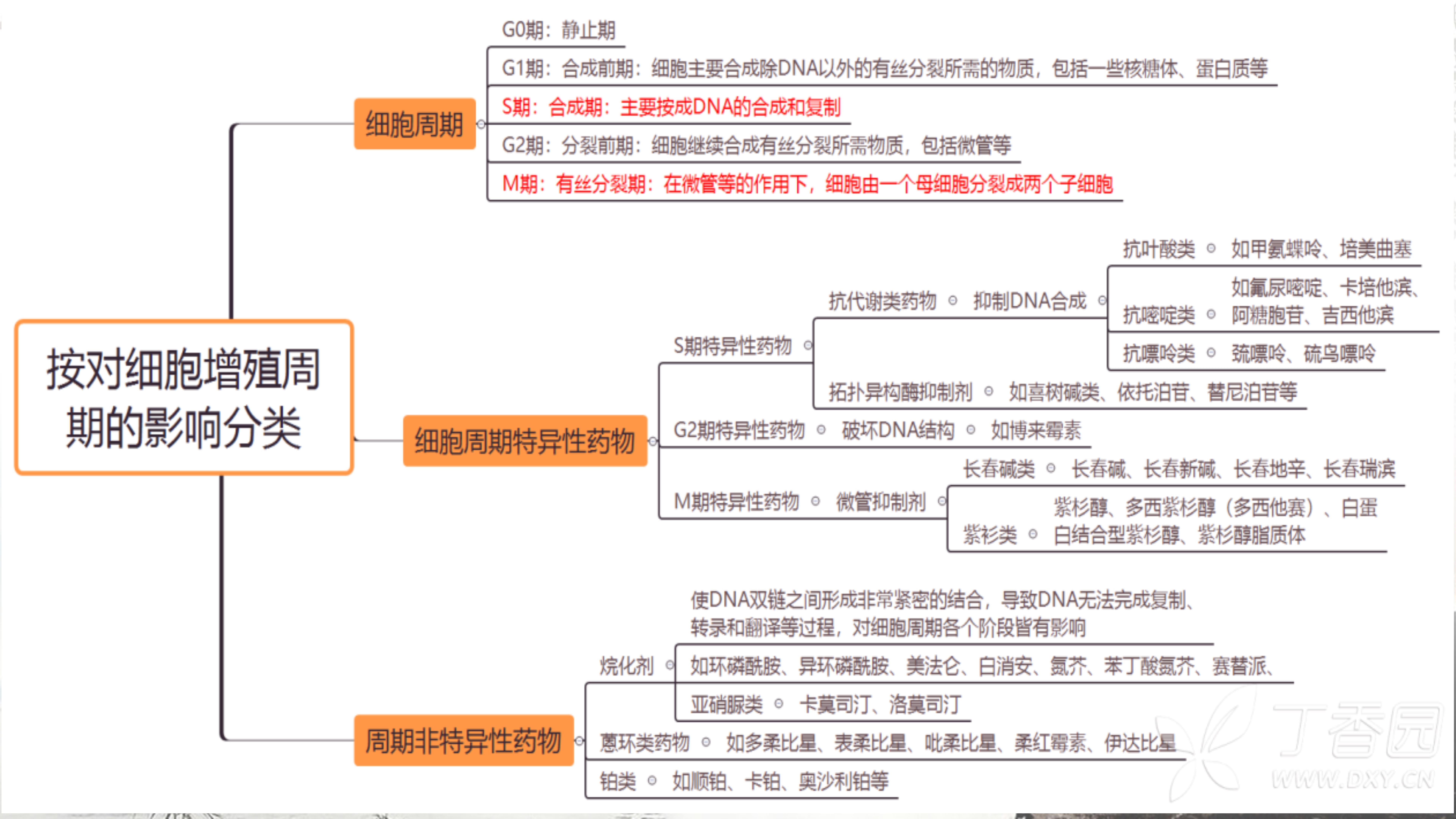 程培育讲座_7.jpg