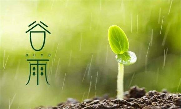谷雨节气.jpg