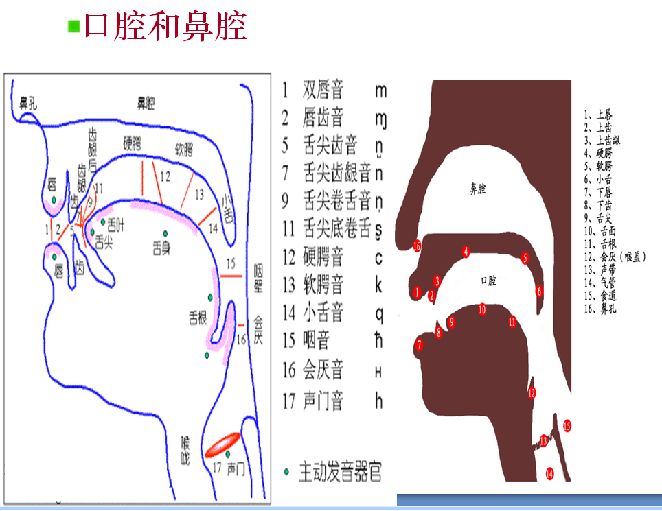 46.png