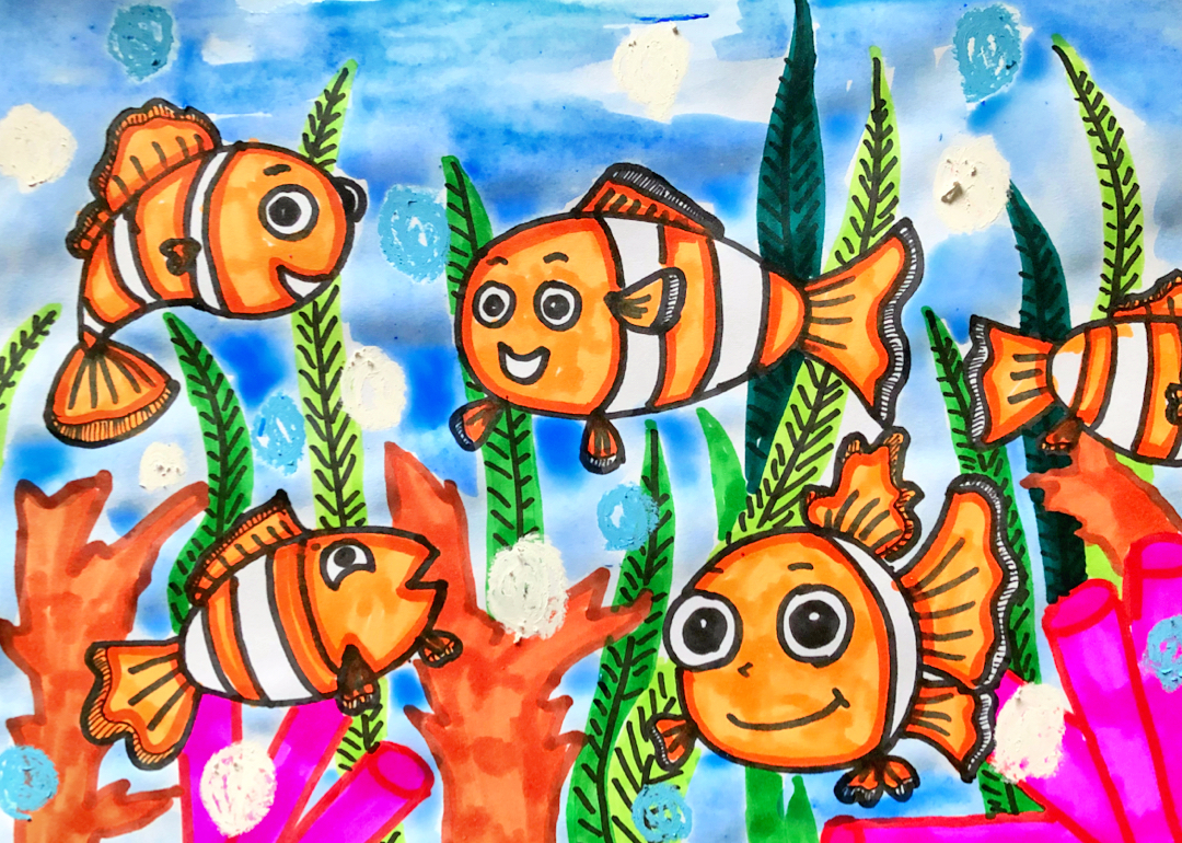 中班大班第二课-小丑鱼