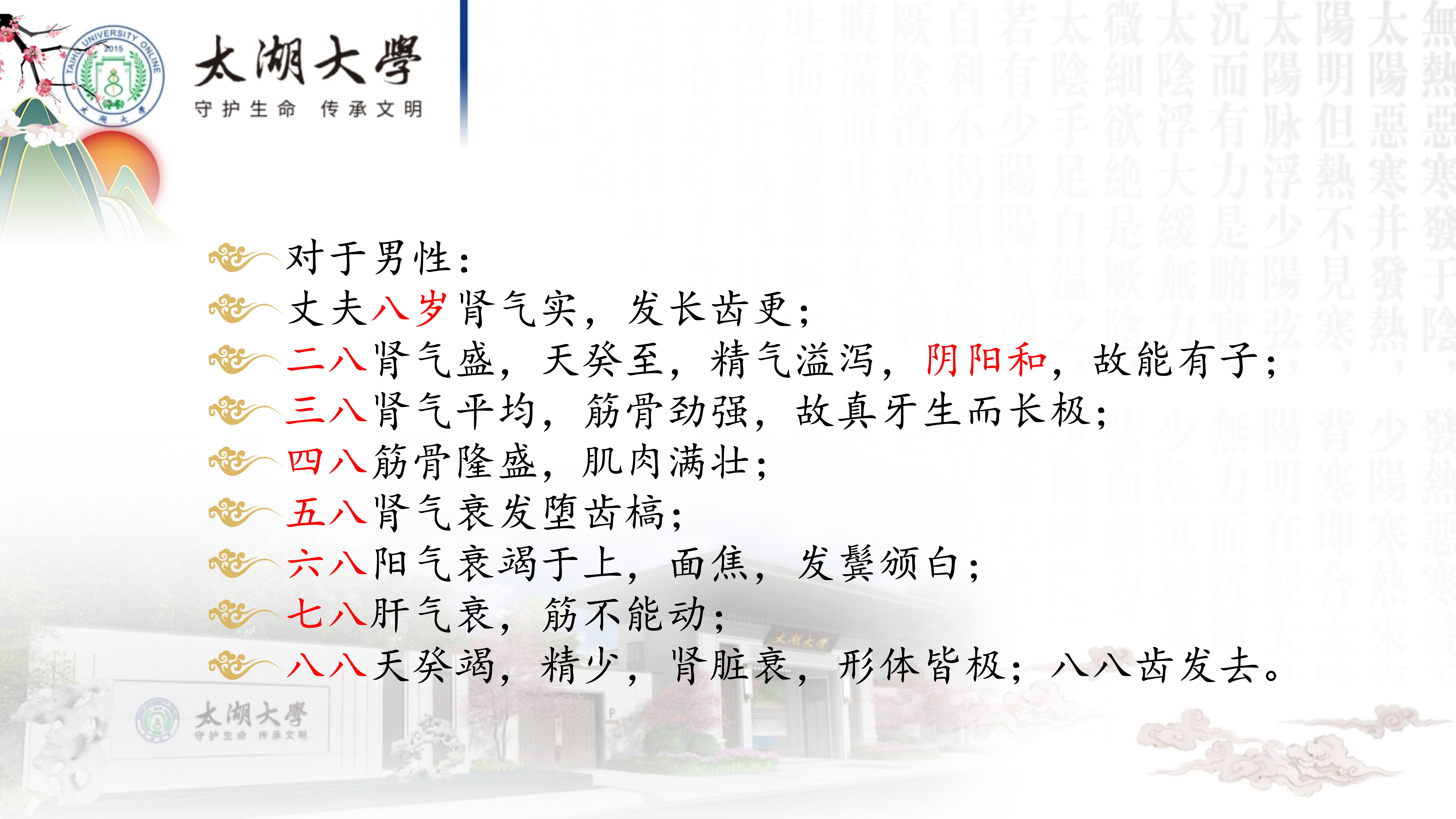 孙迎春讲座_10.jpg