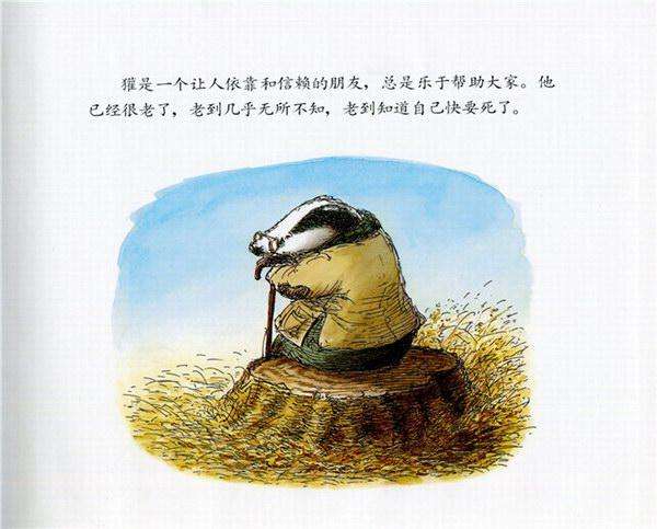 timg (19).jpg