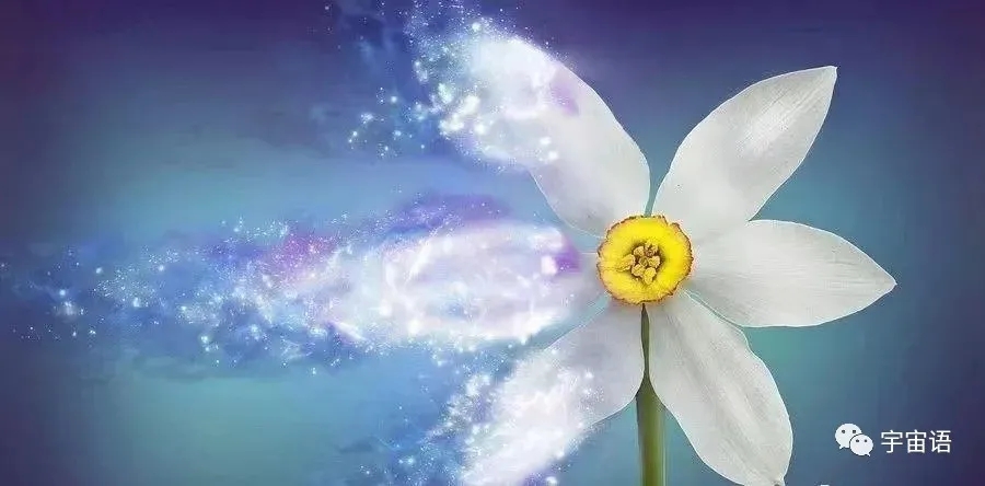 宇宙语能量疗愈唱诵 净化身体脉轮 提升能量和频率 意识觉醒