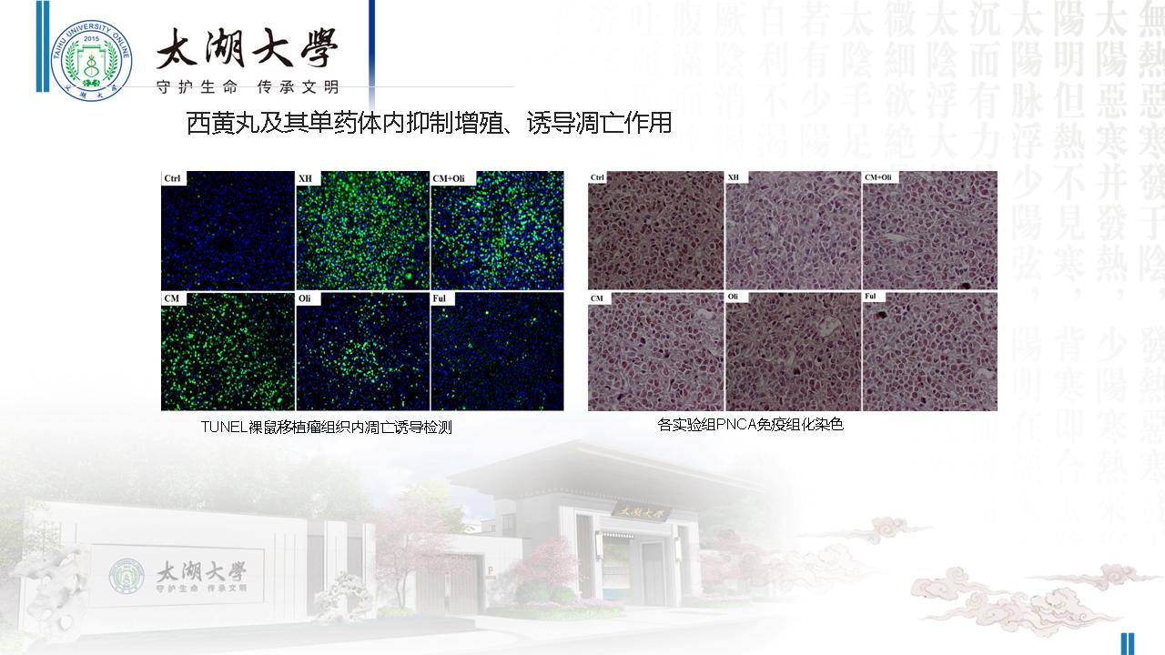 幻灯片96.JPG