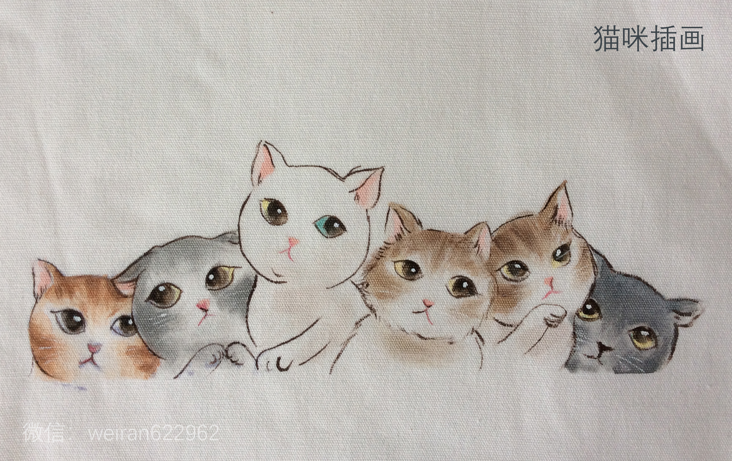 3-猫咪.jpg