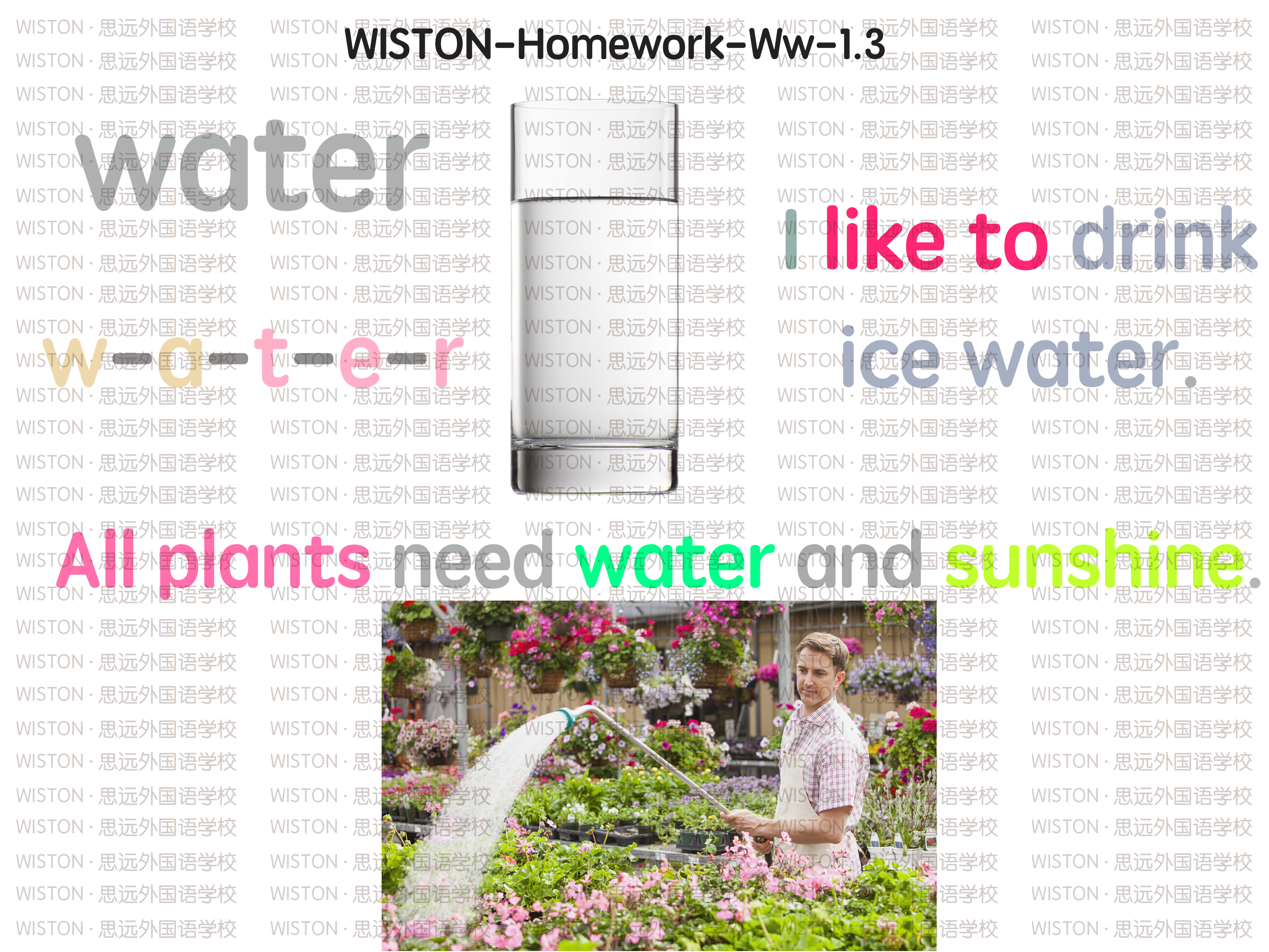 WISTON-HW-Ww-1.3_01.png