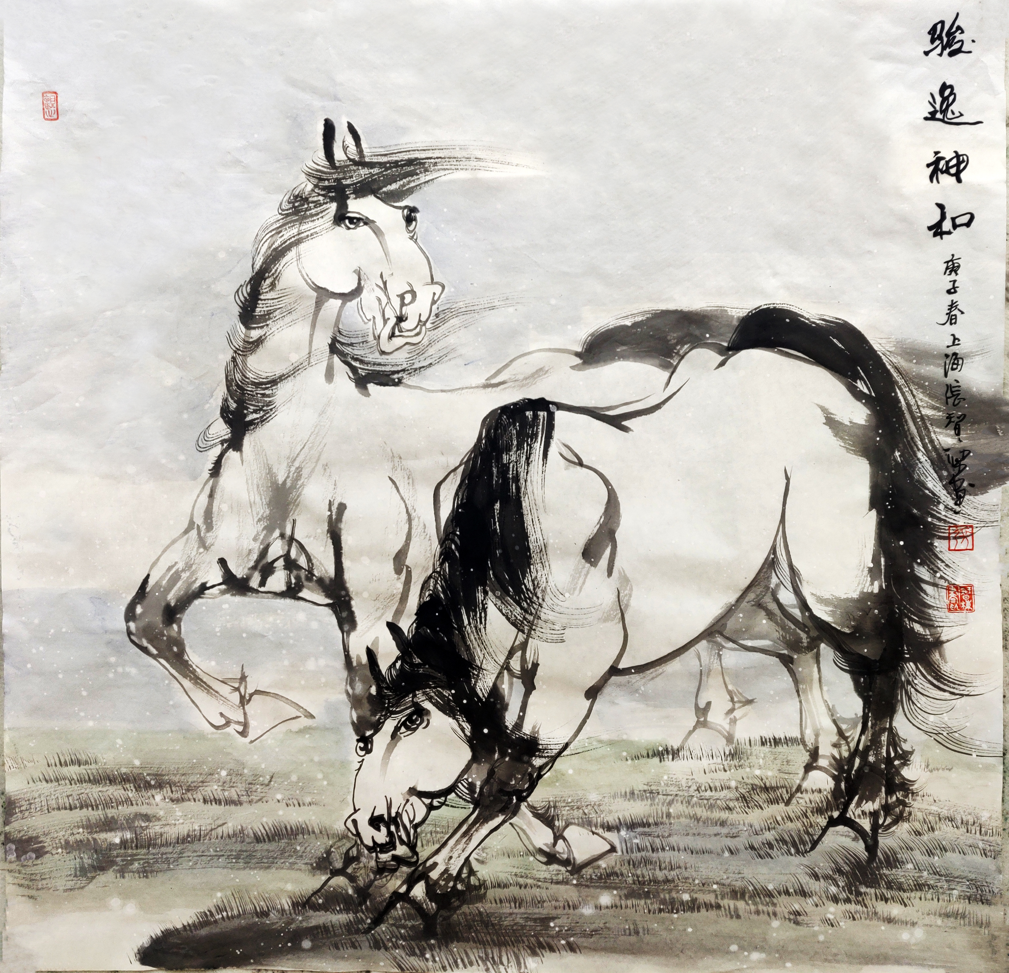 丹青水墨著名国画家张智栋水墨写意双白马绘画技法系列(上)