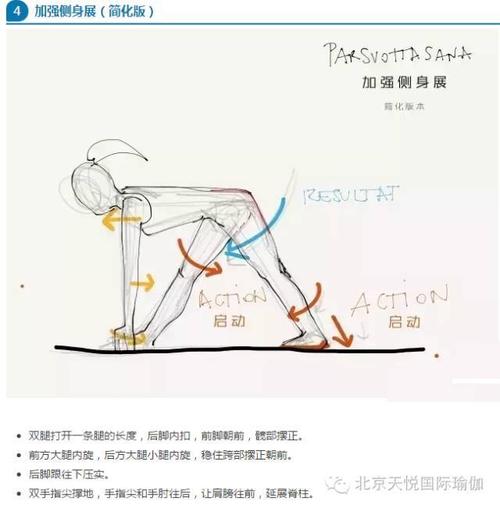 加强侧伸展1.jpg